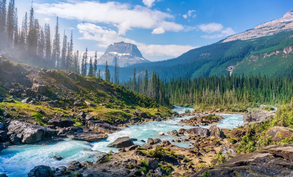 A mountain river valley in Banff with snow-capped peaks and pine forest