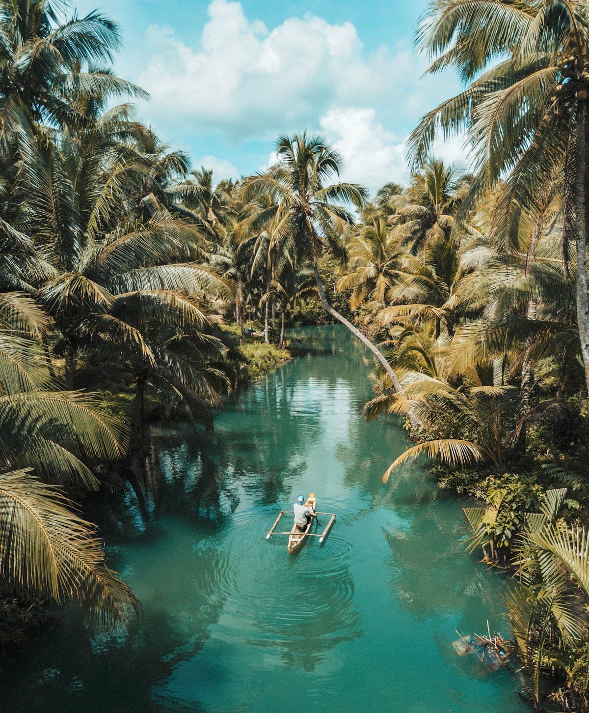A tropical river winding through dense palm forest in Guanacaste