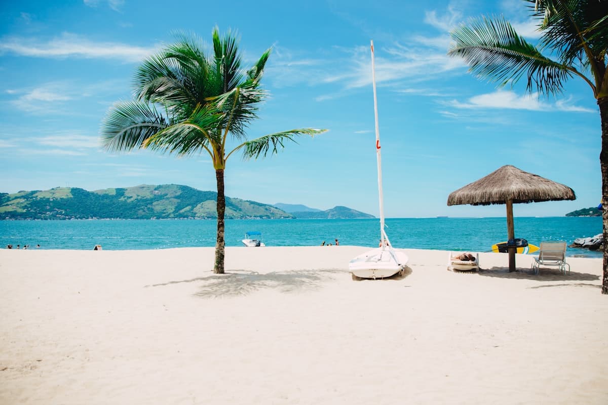 A palm-lined San Diego beach with a small sailboat and a thatched umbrella